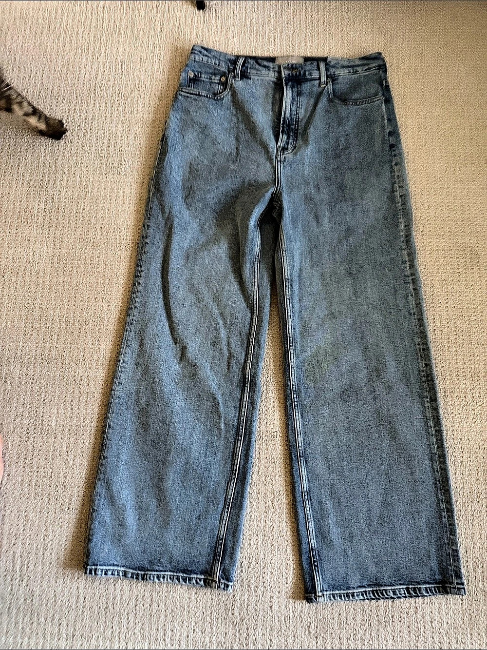 Everlane The Way-High® Sailor Jean Wide Leg Jeans in Blue Size 31R